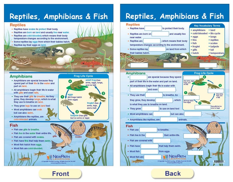 New Path Learning NewPath Learning-94-1501 All About Animals Bulletin Board Chart Set (Pack of 5) - Image 5